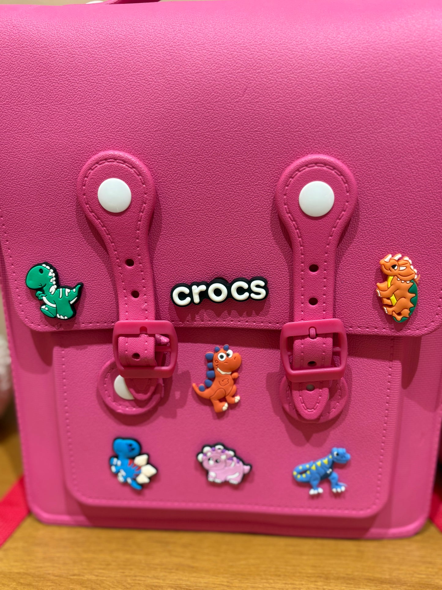 🌸 Premium Motif Kids Backpack | Dino Charm Edition 🦖✨